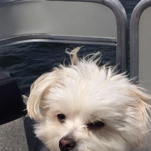 Meet your Posher, Dana